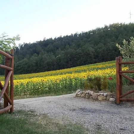 Appartamenti Con Cucina Nelle Colline Toscane Country house Anghiari