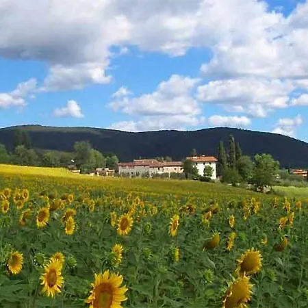 Country house Appartamenti Con Cucina Nelle Colline Toscane *
