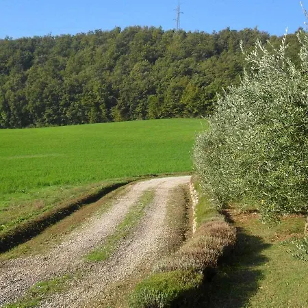 Appartamenti Con Cucina Nelle Colline Toscane