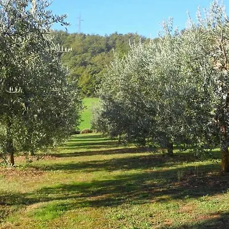 Appartamenti Con Cucina Nelle Colline Toscane Country house
