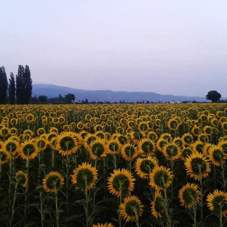 Appartamenti Con Cucina Nelle Colline Toscane *